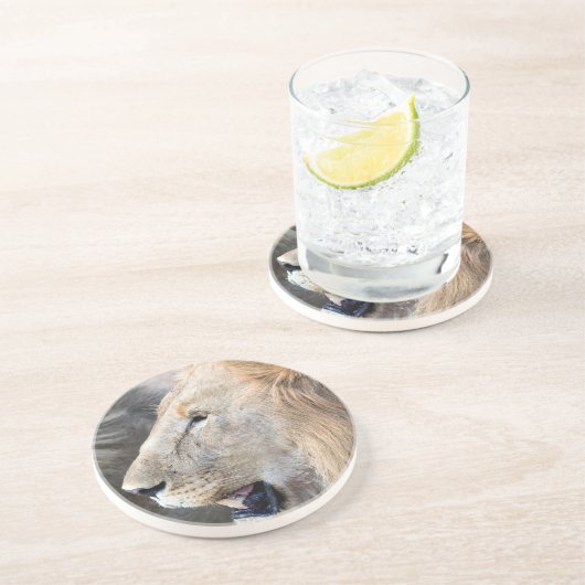 Lion Portrait Getränkeuntersetzer (Seite)