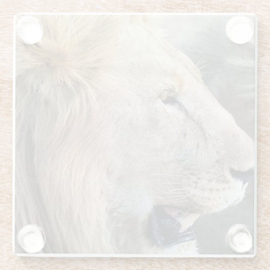 Lion Portrait Glasuntersetzer (Rückseite)