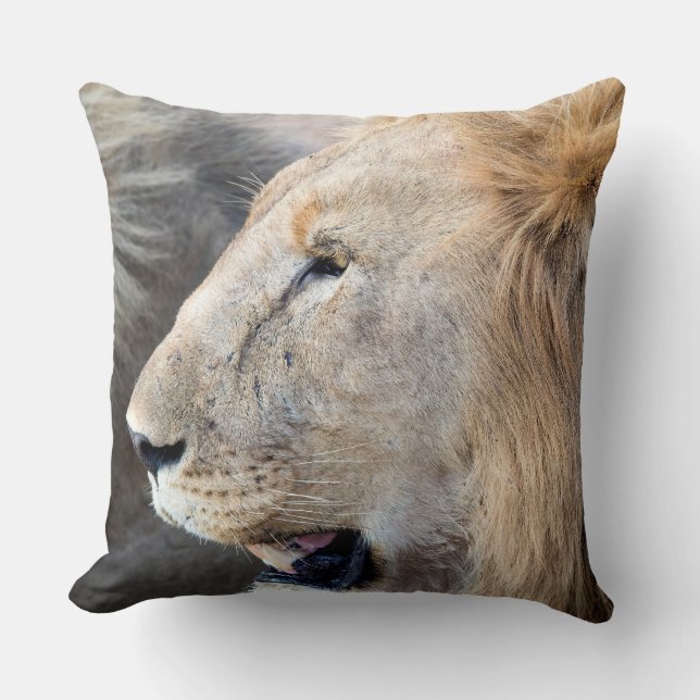 Lion Portrait Kissen (Vorderseite)