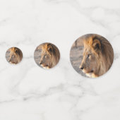 Lion Portrait Konfetti (Rückseiten)