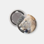 Lion Portrait Magnet (Vorderseite/Rückseite)