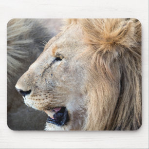 Lion Portrait Mousepad
