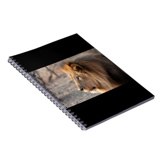Lion Portrait Notizblock (Rechte Seite)