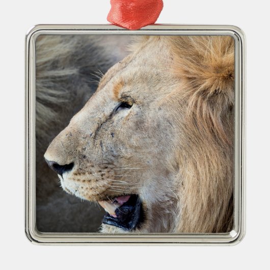 Lion Portrait Ornament Aus Metall (Vorne)