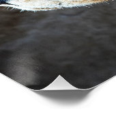 Lion Portrait Poster (Ecke)