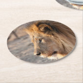 Lion Portrait Runder Pappuntersetzer (Angewinkelt)