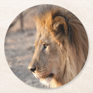 Lion Portrait Runder Pappuntersetzer