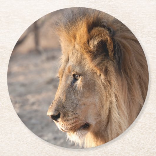 Lion Portrait Runder Pappuntersetzer (Vorderseite)