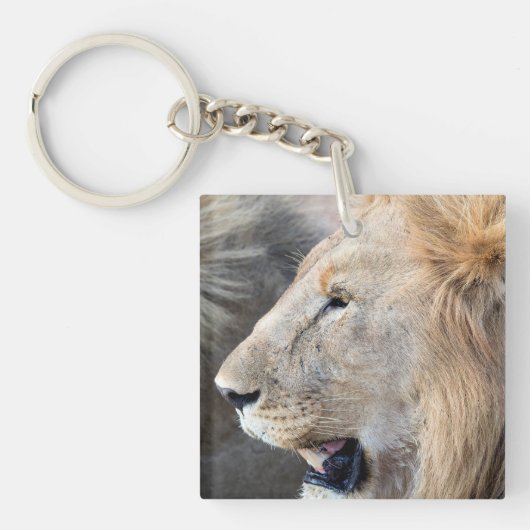 Lion Portrait Schlüsselanhänger (Vorderseite)