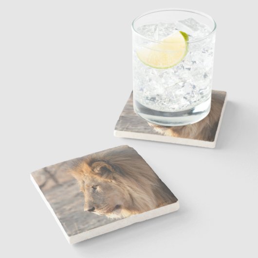 Lion Portrait Steinuntersetzer (Seitenansicht)