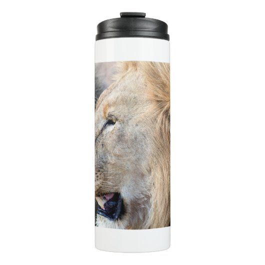 Lion Portrait Thermosbecher (Vorderseite)