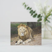 Lion Post Card Postkarte (Stehend Vorderseite)