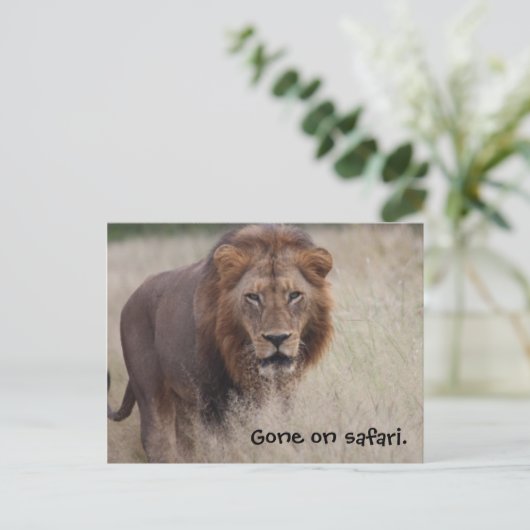 Lion Postcard Postkarte (Stehend Vorderseite)