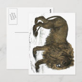 Lion Postcard Postkarte (Vorne/Hinten)