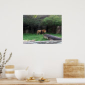 Lion Poster (Küche)