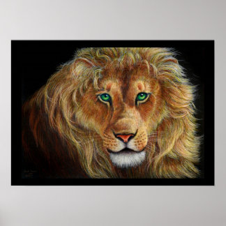Lion Poster
