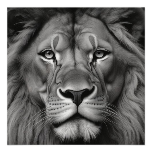 Lion Poster (Vorderseite)