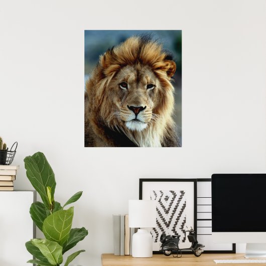 Lion Poster (Heimbüro)