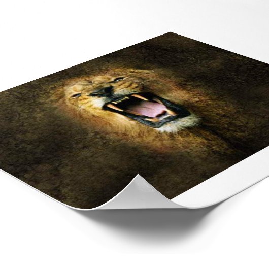 Lion Poster (Ecke)