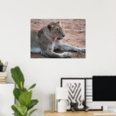Lion Poster (Heimbüro)