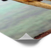 Lion Poster (Ecke)