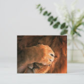 Lion Postkarte (Stehend Vorderseite)