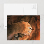 Lion Postkarte (Vorne/Hinten)