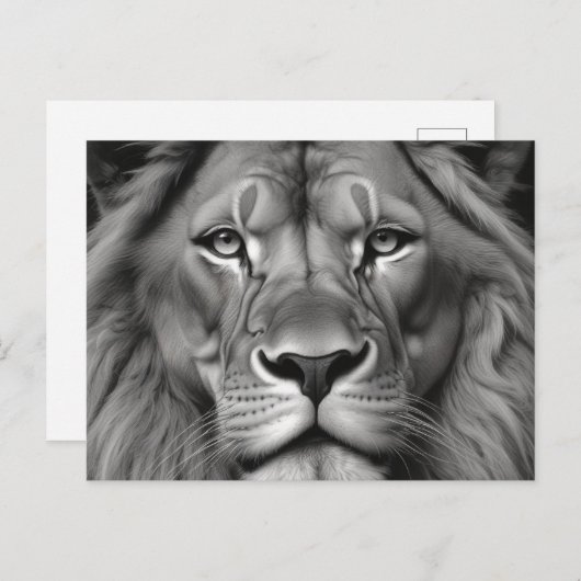 Lion Postkarte (Vorne/Hinten)