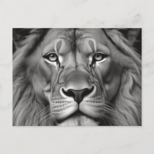 Lion Postkarte