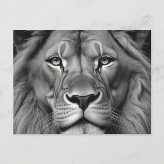 Lion Postkarte (Vorderseite)