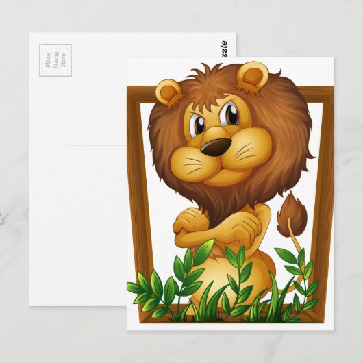 Lion Postkarte (Vorne/Hinten)
