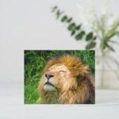 Lion Postkarte (Stehend Vorderseite)