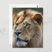 Lion Postkarte (Vorne/Hinten)