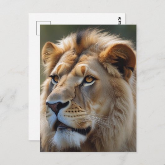 Lion Postkarte (Vorne/Hinten)