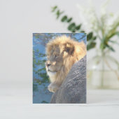 Lion Postkarte (Stehend Vorderseite)