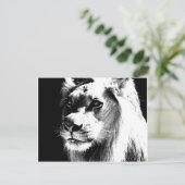 Lion Postkarte (Stehend Vorderseite)