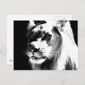 Lion Postkarte (Vorne/Hinten)