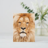 Lion Postkarte (Stehend Vorderseite)