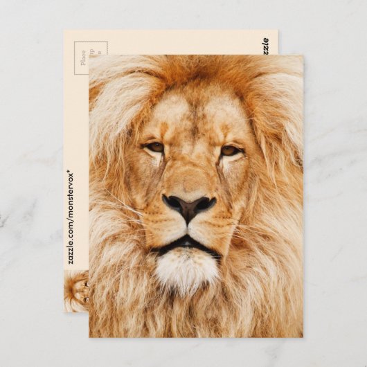 Lion Postkarte (Vorne/Hinten)