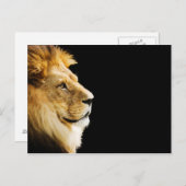 Lion Postkarte (Vorne/Hinten)