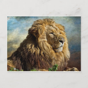 Lion Postkarte