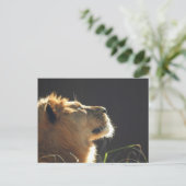 Lion Postkarte (Stehend Vorderseite)