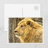 Lion Postkarte (Vorne/Hinten)