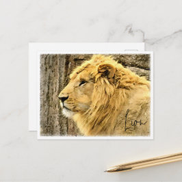 Lion Postkarte