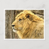 Lion Postkarte (Vorderseite)