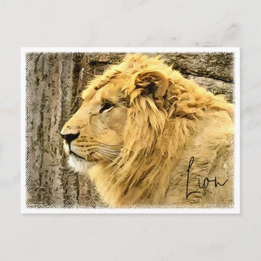 Lion Postkarte (Vorderseite)