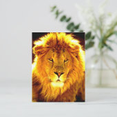 Lion Postkarte (Stehend Vorderseite)