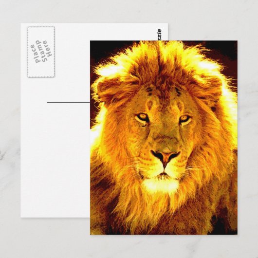 Lion Postkarte (Vorne/Hinten)