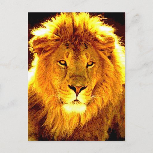 Lion Postkarte (Vorderseite)