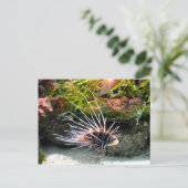 Lion Postkarte (Stehend Vorderseite)